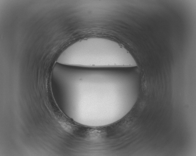 X0000077370315200610201021