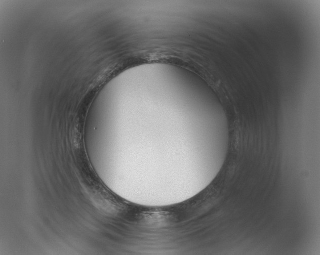 X0000077370316200610201021