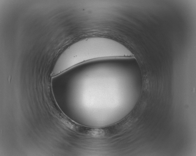 X0000077370317200610201021