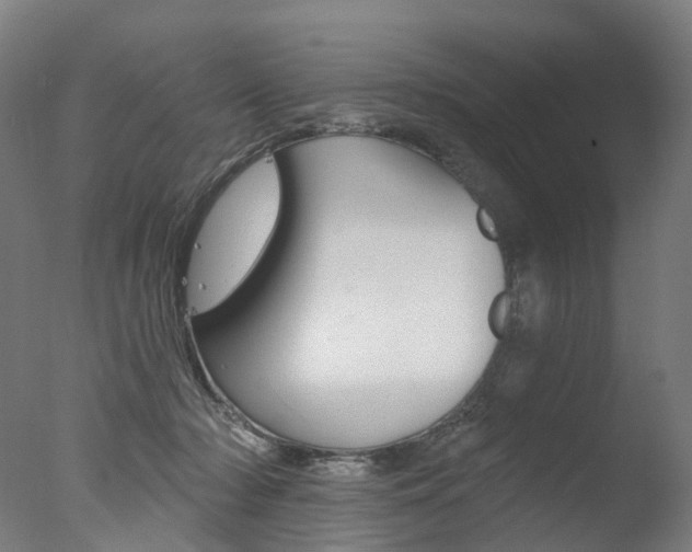 X0000077370318200610201021