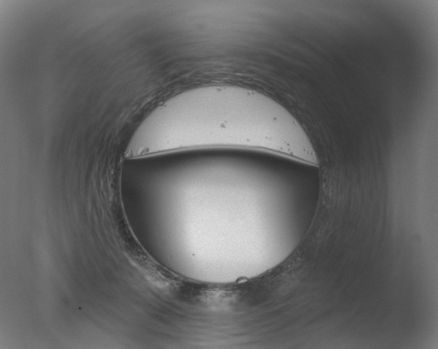 X0000077370319200610201021