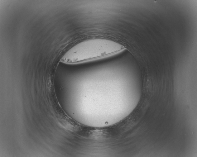 X0000077370320200610201021