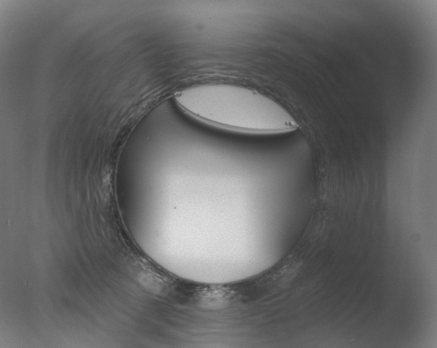 X0000077370321200610201021