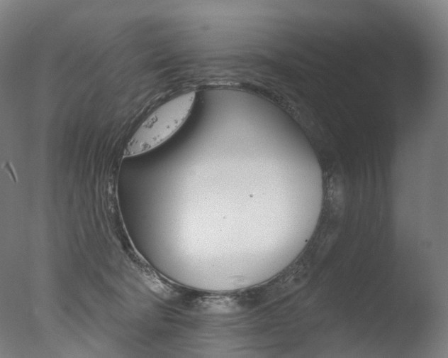 X0000077370322200610201021