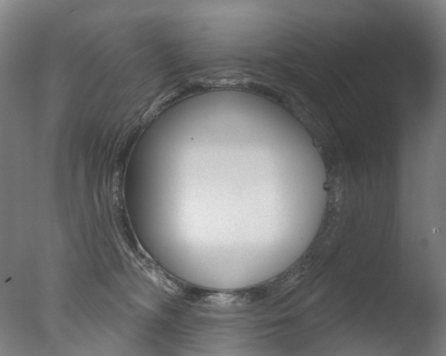 X0000077370326200610201021