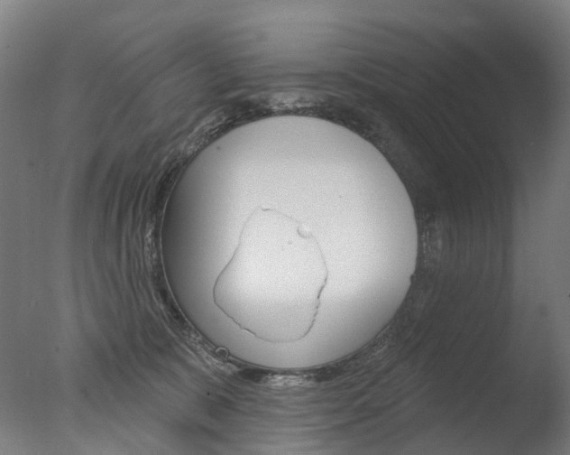 X0000077370327200610201021