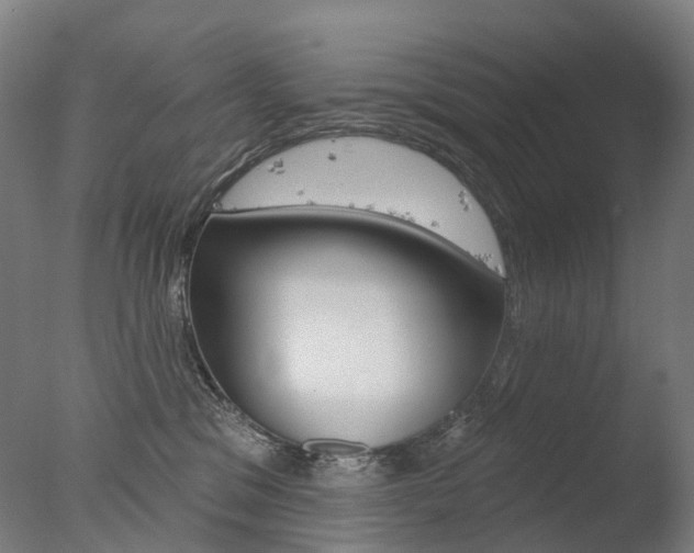 X0000077370329200610201021