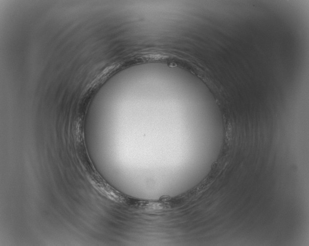 X0000077370330200610201021