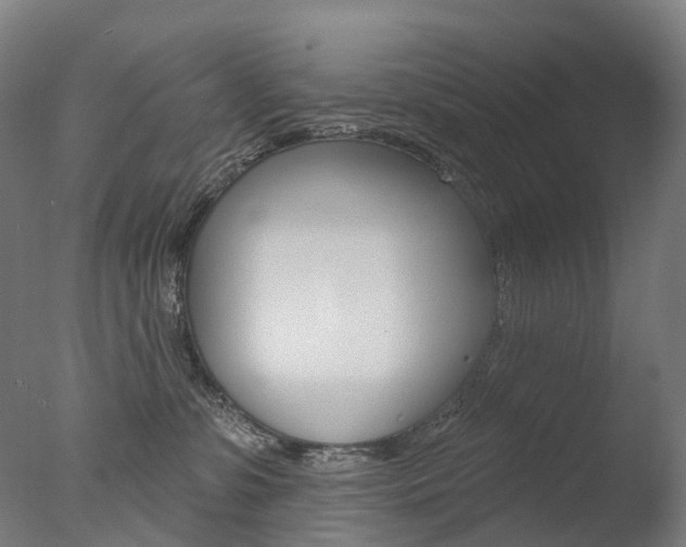 X0000077370331200610201021