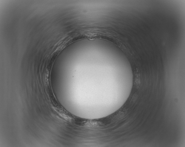 X0000077370332200610201021