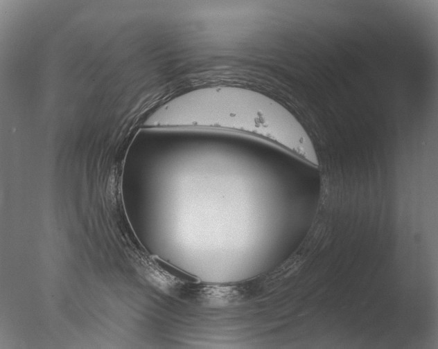 X0000077370333200610201021