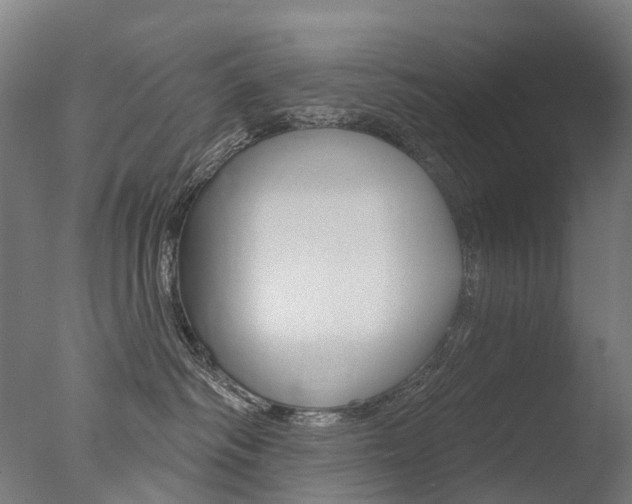 X0000077370334200610201021