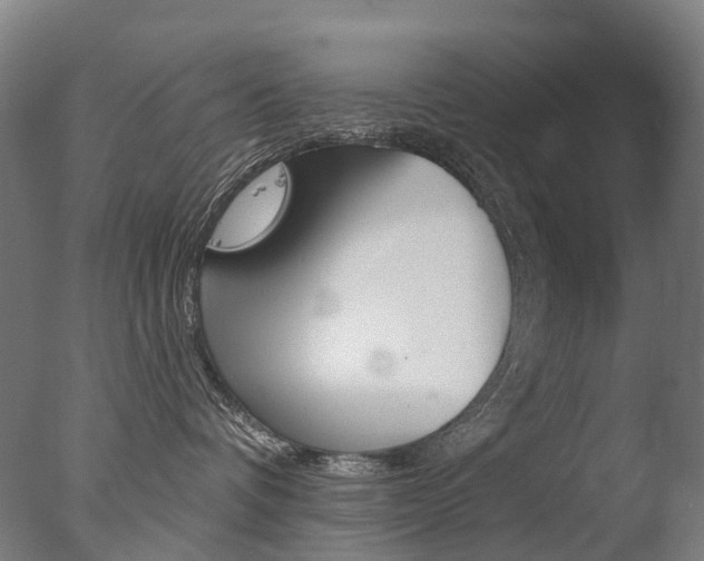 X0000077370336200610201021