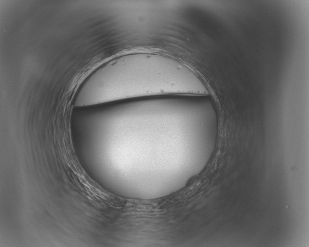 X0000077370337200610201020