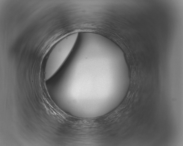 X0000077370338200610201020