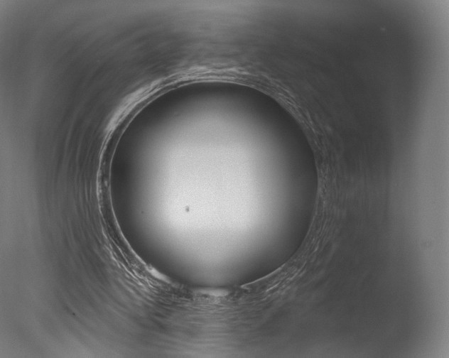 X0000077370340200610201020