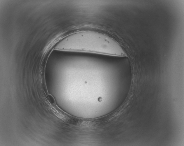 X0000077370341200610201020