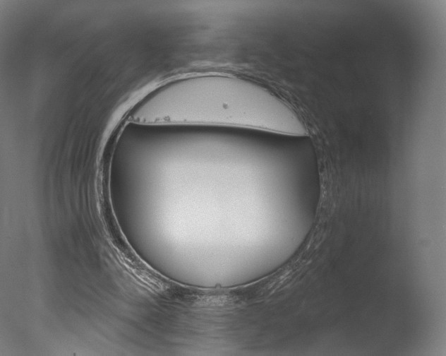 X0000077370342200610201020