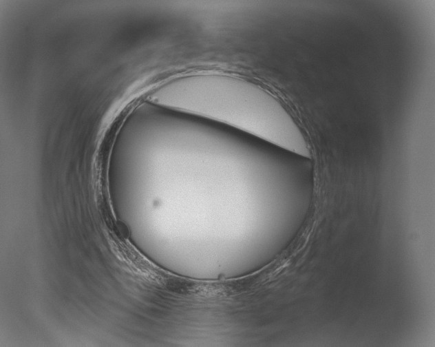 X0000077370343200610201020