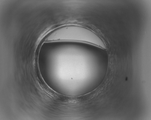 X0000077370344200610201020