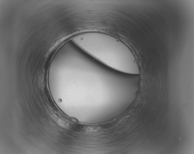 X0000077370346200610201020