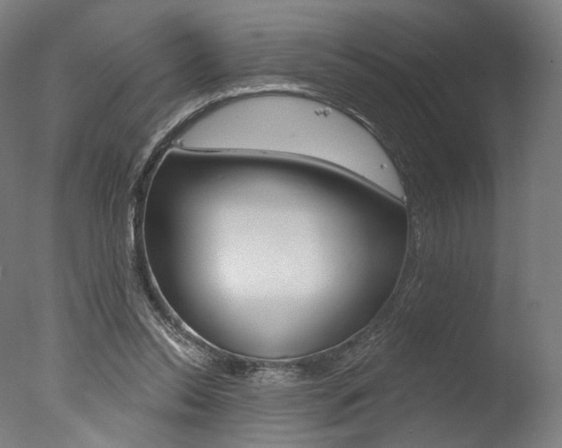 X0000077370350200610201020