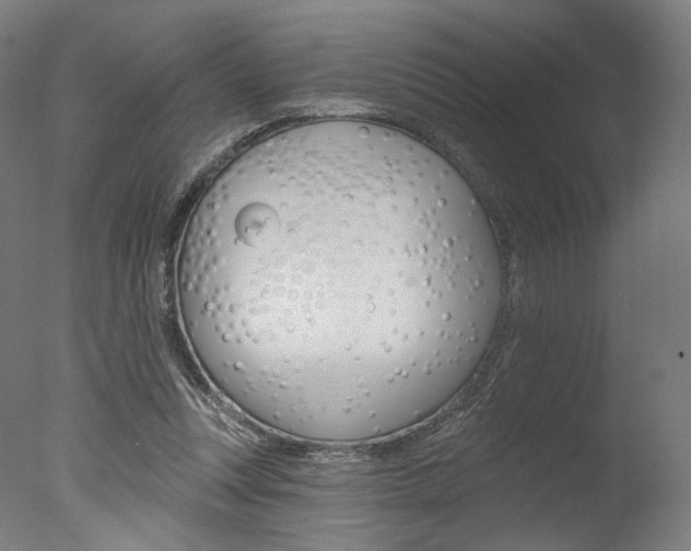 X0000077370351200610201020