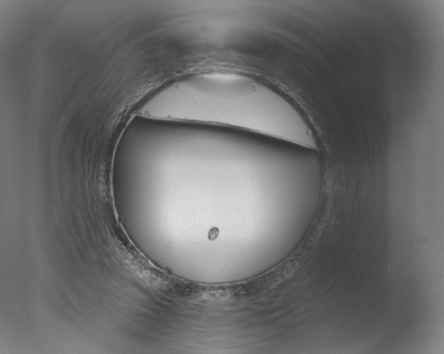 X0000077370353200610201020