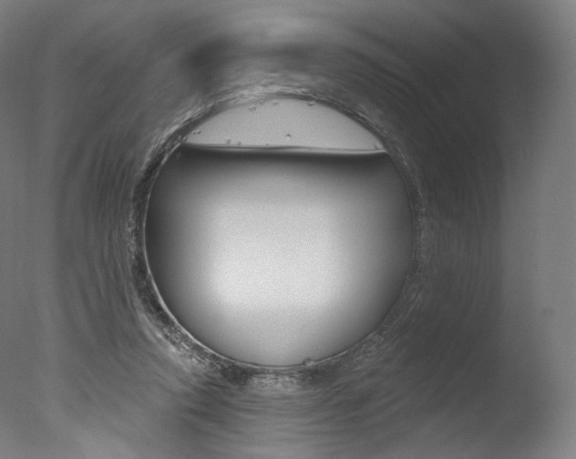 X0000077370354200610201020