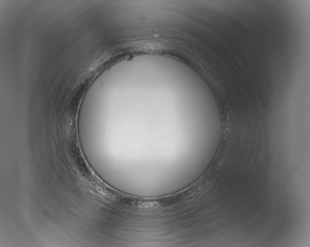 X0000077370355200610201020