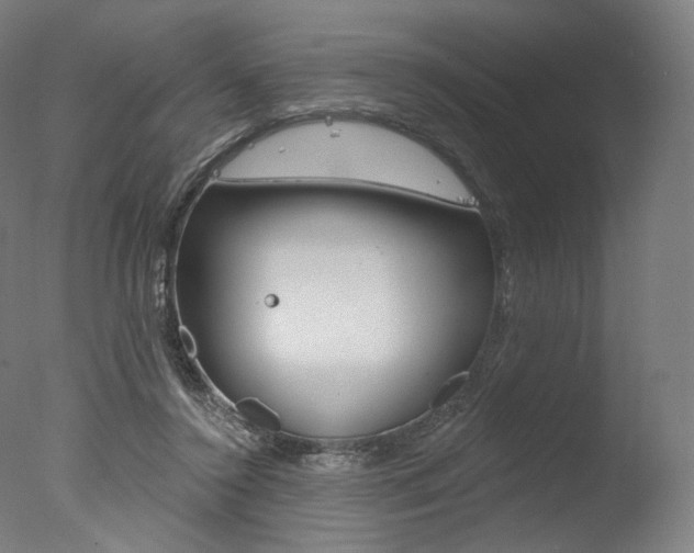 X0000077370356200610201020