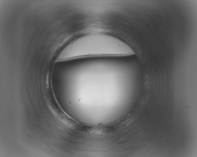 X0000077370358200610201020