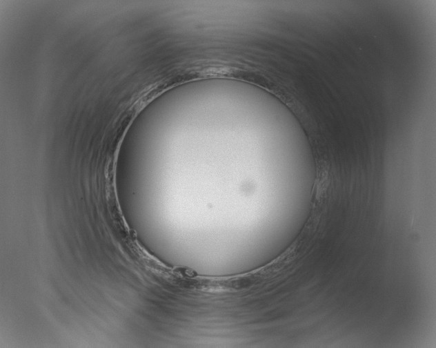 X0000077370360200610201020