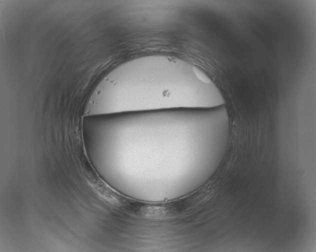 X0000077370361200610201020