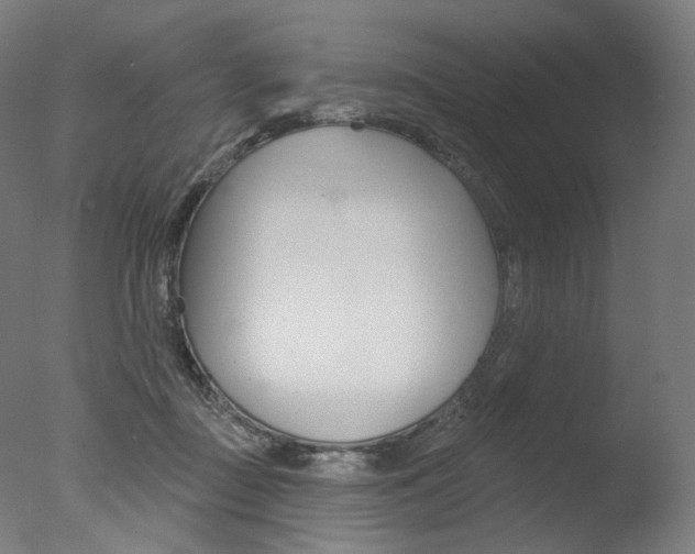 X0000077370363200610201020