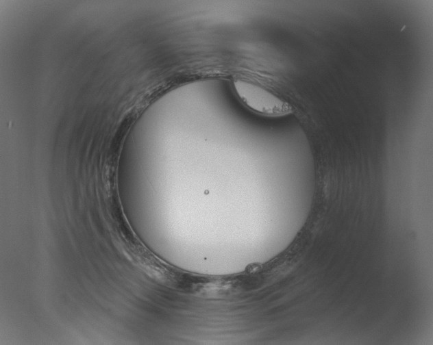 X0000077370366200610201020