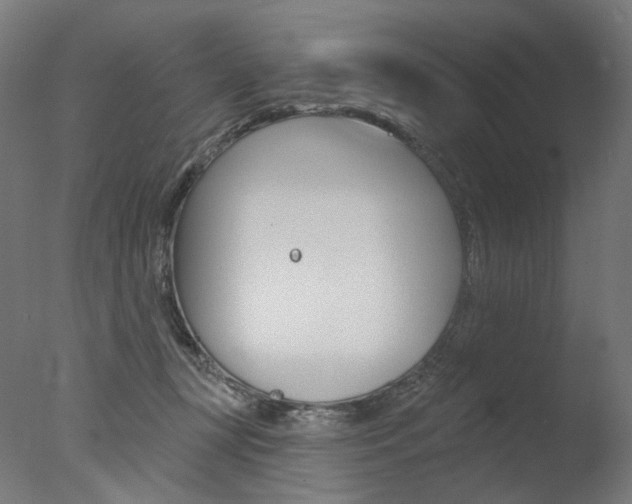 X0000077370367200610201020