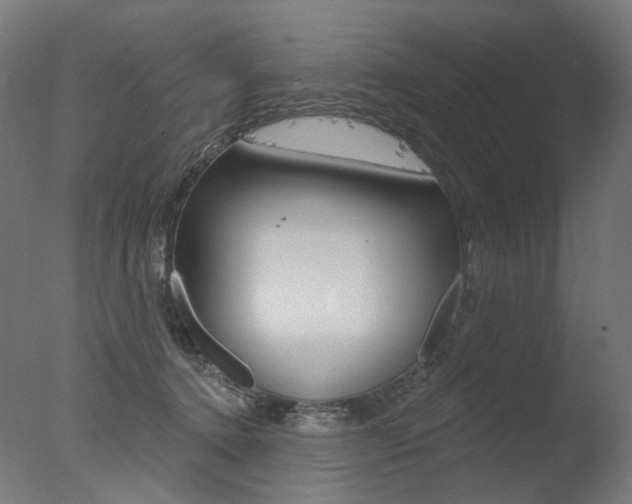 X0000077370368200610201020