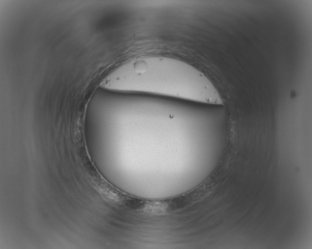 X0000077370369200610201020