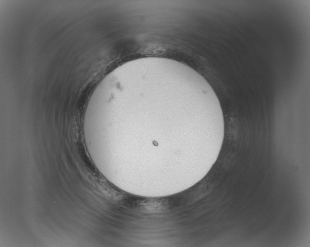 X0000077370370200610201020