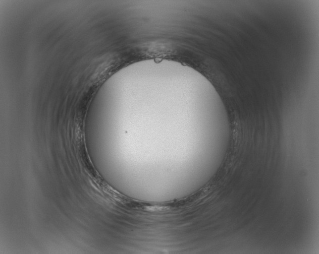 X0000077370371200610201020