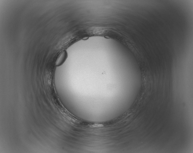 X0000077370374200610201020