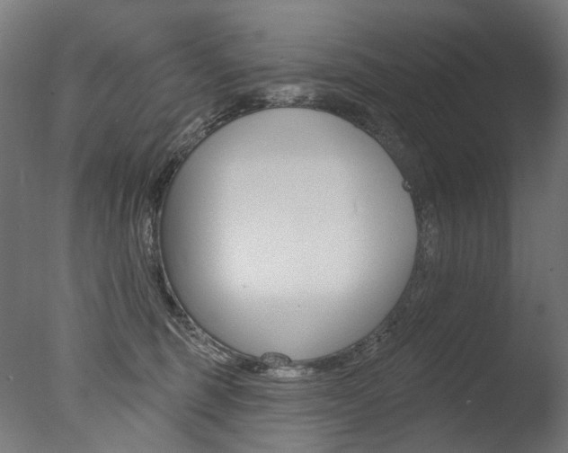 X0000077370375200610201020