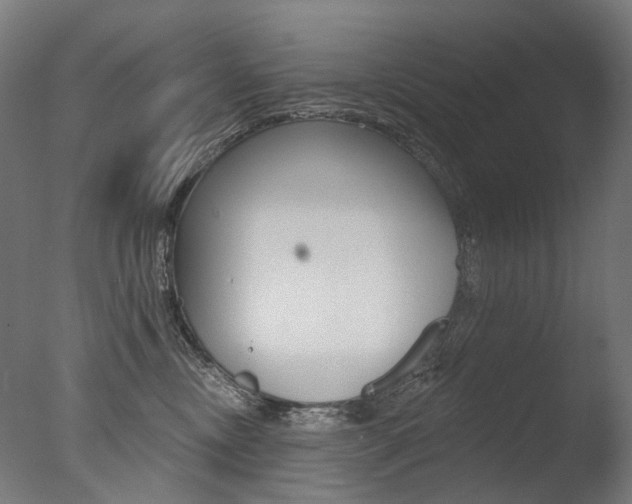 X0000077370378200610201020