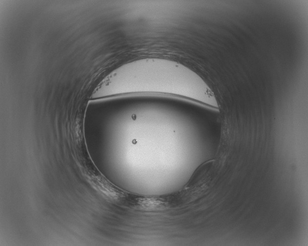 X0000077370380200610201020