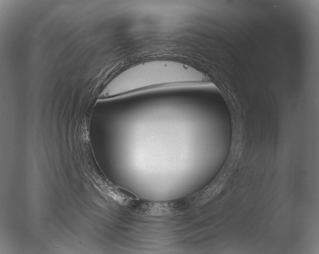 X0000077370384200610201021