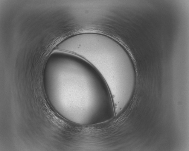 X0000077370385200610201020