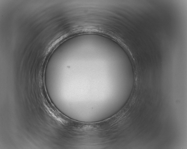 X0000077370390200610201020