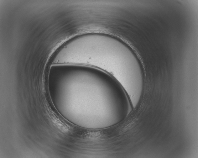 X0000077370391200610201020