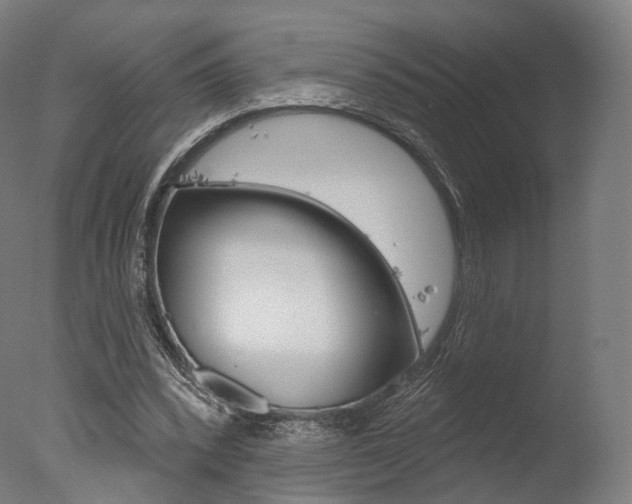 X0000077370392200610201020